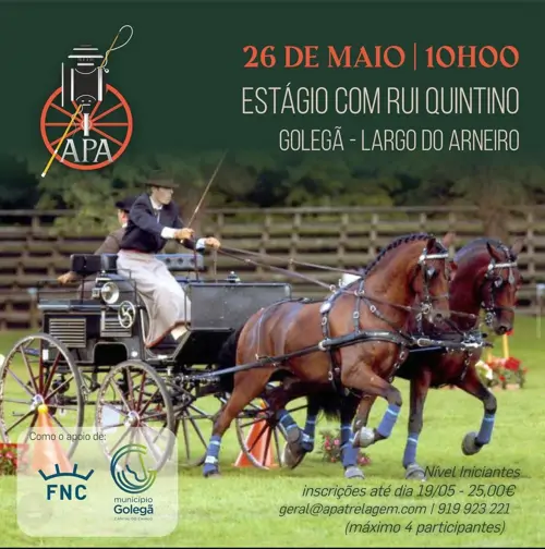 Estágio para Iniciados