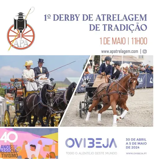 1ª Derby de Atrelagem Ovibeja