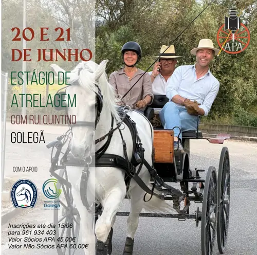 Estágio de Atrelagem na Golegã