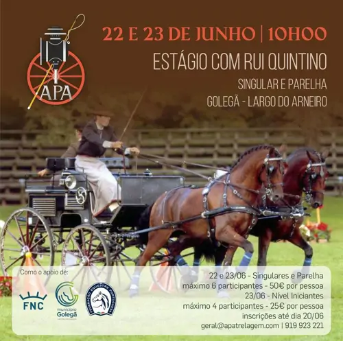 Estágio com Rui Quintino