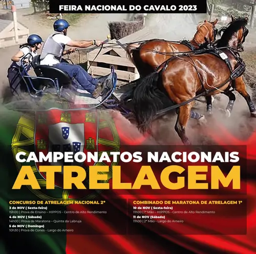 Campeonatos nacionais de atrelagem 2023 - Resultados