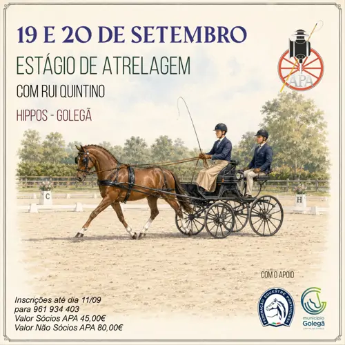 Estágio de Atrelagem Golegã