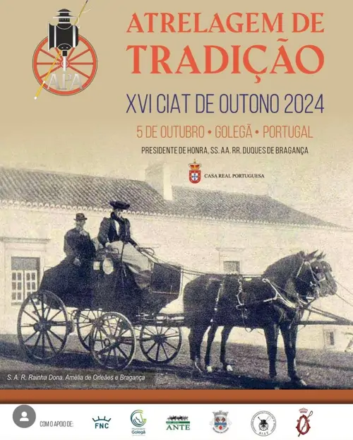 XVI CIAT de Outono Golega