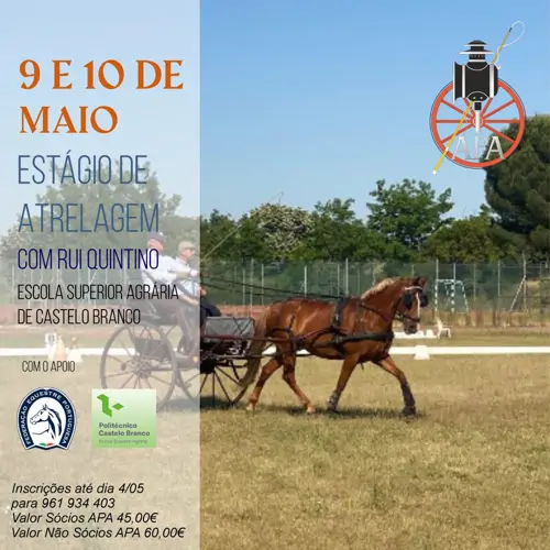 Nova Data: Estágio de Atrelagem em Castelo Branco