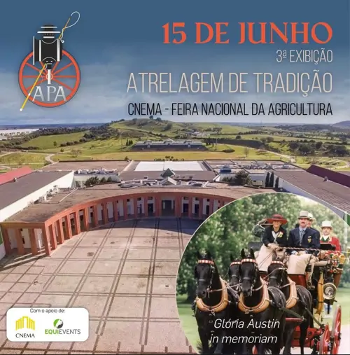 3ª Exibição de Atrelagem de Tradição- FNA
