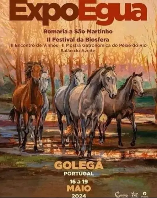 Expoégua